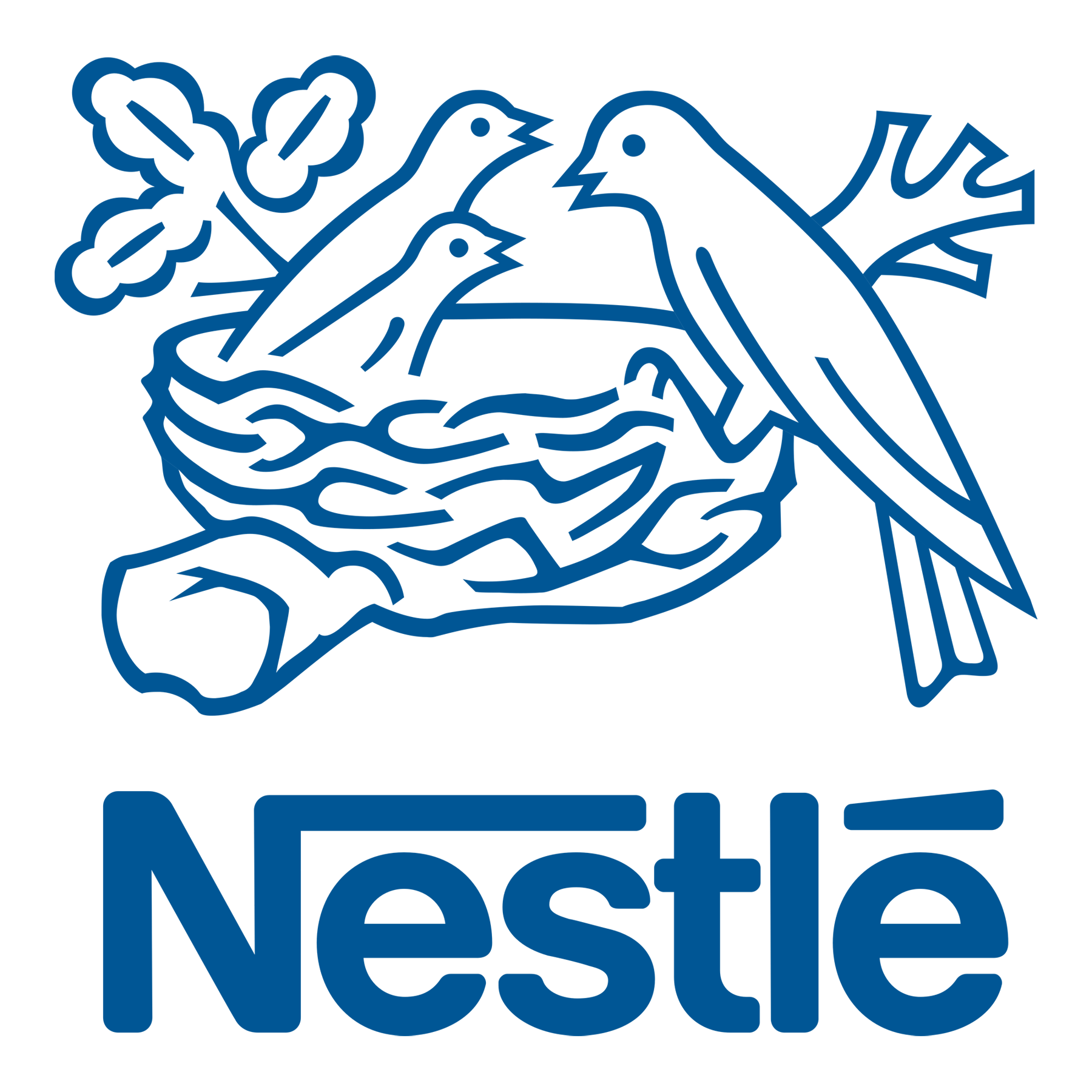 Issuer Direct Client | Nestle
