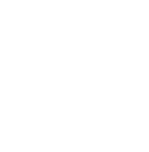 Issuer Direct Benefit - Company Paid Medical